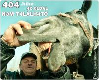 404 hibak&oacute;dra megold&aacute;sok